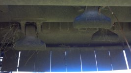 seppi underside 1.jpg seppi underside 1.jpg