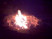 Firepit in Action.jpg