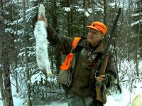 Dec 2013 Snowshoe hare.jpg