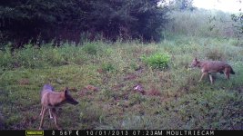 First Shots I 257.jpg