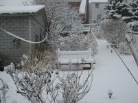 IMG_0807.jpg