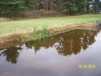 AA Pond pic1.JPG