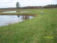 AA Pond Pic4.JPG