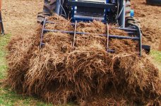 Salaras field -pine needle removal 001.JPG