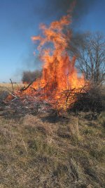 IMG_20121128_101027_480[1].jpg