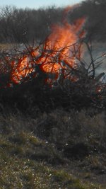 IMG_20121125_143239_798[1].jpg