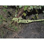 shrub grubber 45.jpg