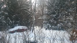 WP_20140205_002.jpg