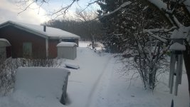 WP_20140205_004.jpg