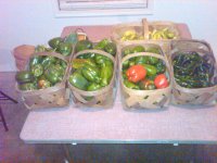 IMG-20131016-00040.jpg