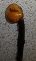image-1228998046.jpg