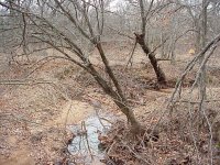 Creek Rerout G.jpg
