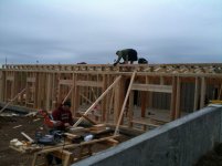 Progress pics 050.jpg