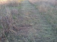 IMG_20131111_163356.jpg