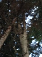image-3114399132.jpg