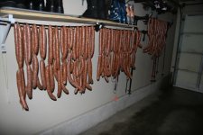 Sausage.jpg
