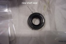 seal.jpg