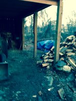 IMG_0003_2.jpg