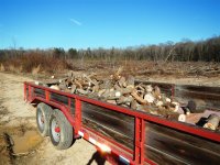 Firewood cutting 1-13-2014 (4).JPG