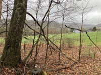 IMG_0275.jpeg