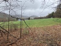 IMG_0276.jpeg