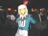 swoop.jpg