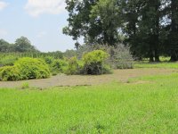 IMG_4578.JPG