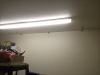 image-1316662629.jpg