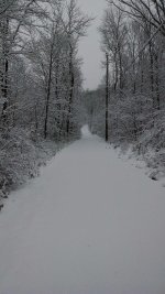 snow drive.jpg