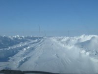 IMG_3455.JPG