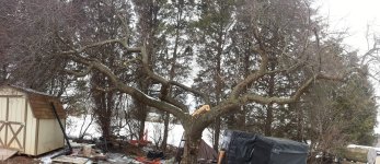 20140208_143137-PANO.jpg