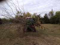 IMG_1619.jpg
