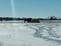 20140129_130544.jpg 20140129_130544.jpg
