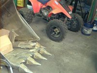 605433-broken tooth.JPG