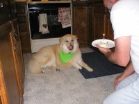 434743-BuddyA.JPG