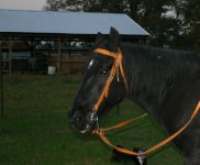 521320-Tucker.jpg