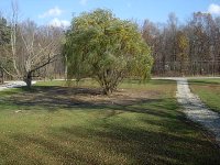 521519-IM000012.JPG