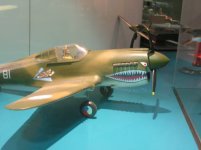 434855-p51 tiger.jpg