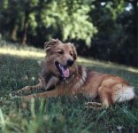 434997-bear_6.jpg
