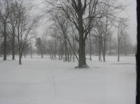 390636-march 12.jpg