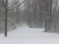 390641-what i woke up to.jpg