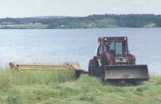 480772-mow1sm.jpg