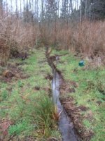 569875-Ditch 02 (324 x 432).jpg