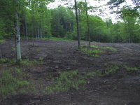 435373-IMG_5492_bright_reduced.JPG