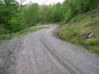 435377-IMG_5498_reduced.JPG