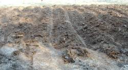 607738-Garden Rows by Disc Hillers.jpg