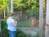 435490-IMG_00280.jpg
