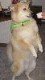 435704-Buddy1.JPG
