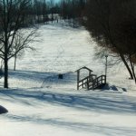 570330-deer feeder.jpg