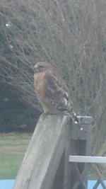 IMG_20131230_123101_475.jpg